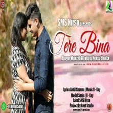 Tere Bina